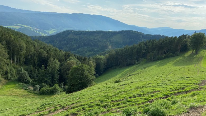 Aussicht von der Rams, © Wiener Alpen