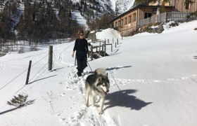 Wanderung mit Husky, © Wild Nasswald