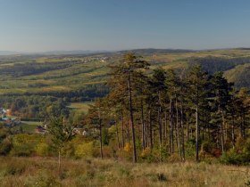 Waldlehrpfad, © Waldviertel Tourismus