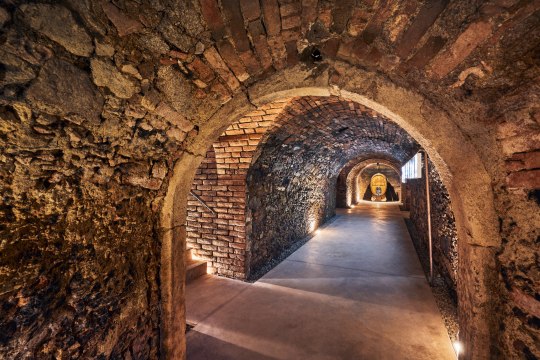 Cool in the wine cellar, © Andreas Hofer