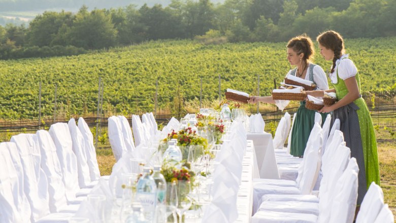 Table in the vineyard, © Weinviertel Tourismus/ Blaha