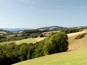 WAB - Etappe 5: Kirchschlag - Bad Schönau, © Wiener Alpen in Niederösterreich