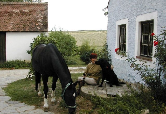 Pferdehof Fam. Vasicek, © Vasicek