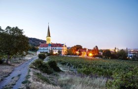 Wine autumn in Vienna Woods, © Hauke Dressler