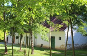 Kellergasse Fuchsenweg Bullendorf, © Weinviertel Tourismus