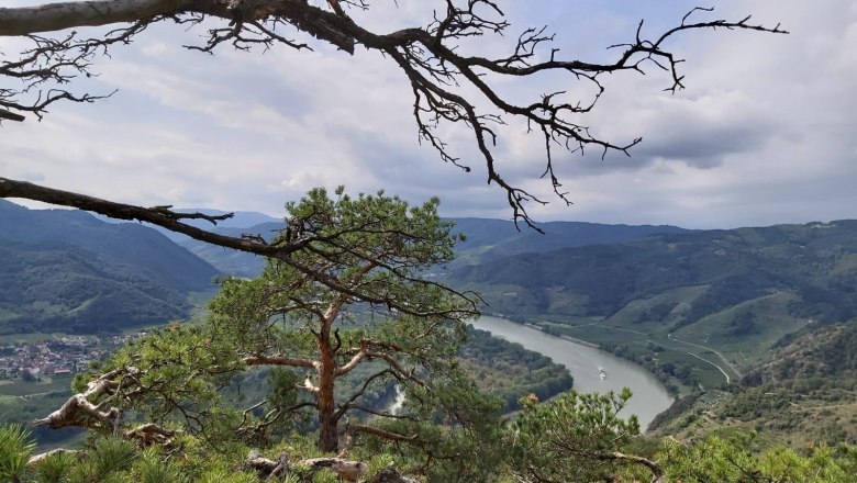 Ausblick von der Kanzel, © Christine Gusenbauer