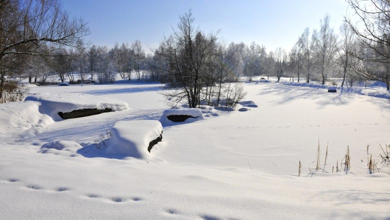 Naturpark Blockheide, © Naturparke Niederoesterreich, Robert Herbst