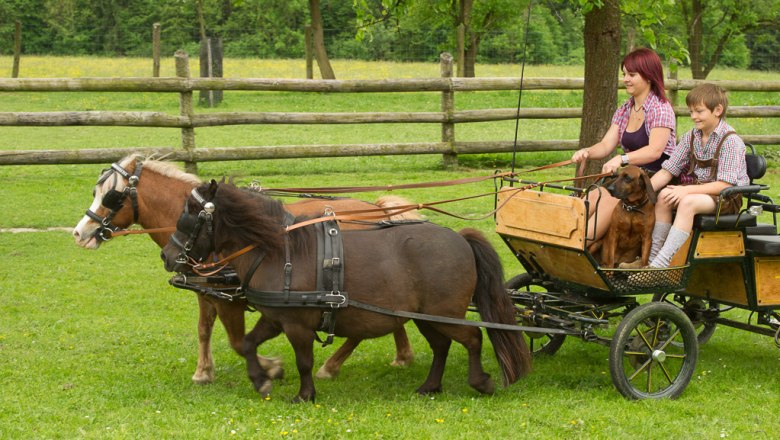 Ponykutsche, © © Langthaler