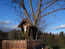 Materl entlang des Weges, © Wiener Alpen in Niederösterreich - Wechsel