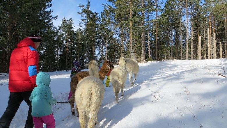 Naturpark Hohe Wand, © Naturpark Hohe Wand