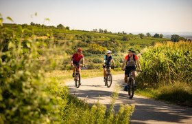 Radfahren im Weinland Traisental, © Mostviertel