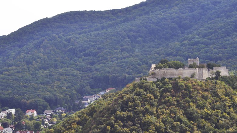 Burgruine auf bewaldetem Hügel, umgeben von dichtem Wald und Dorf im Tal., © Donau Niederösterreich, Steve Haider