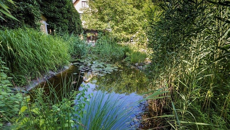 Teichidylle, Rosenbauchs Restaurantgarten, © Karl Rosenbauch