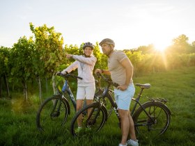 Radfahren im Kamptal, © POV Robert Herbst