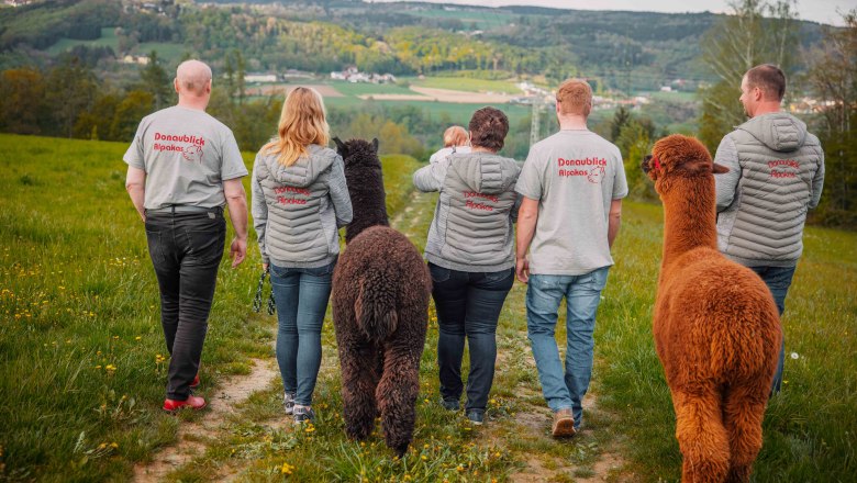 Gruppe von Menschen mit Alpakas auf einem Feldweg in ländlicher Umgebung., © Donaublickalpakas