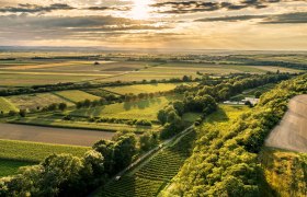 WAGARM, © Donau Niederösterreich - Kamptal-Wagram-Tullner Donauraum