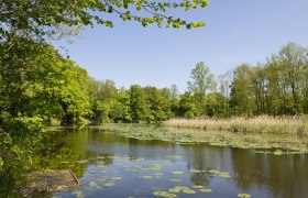 Beidesee, © Gemeinde Drösing