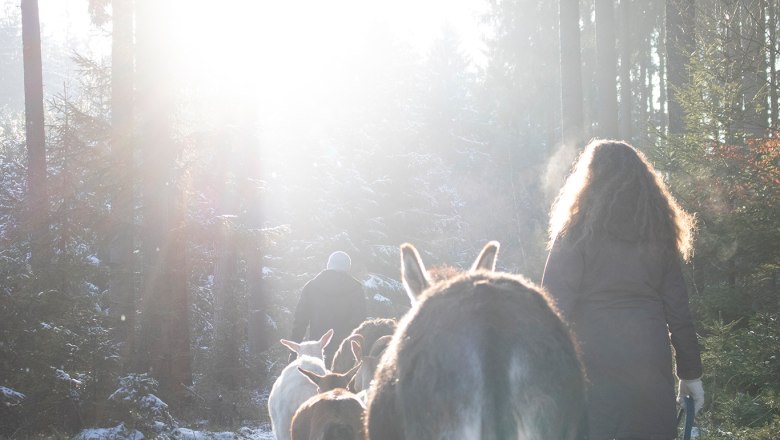 Der Sonne entgegen, © Andrea Köck