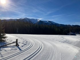 Göllerloipe, © Nordisches Zentrum St. Aegyd