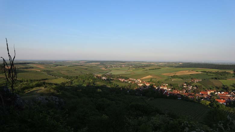 Burgruine Falkenstein Ausblick, © Aline Luckner