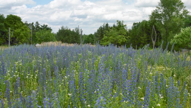 Kulturwerkstätte mit Naturgarten, © Natur im Garten/Alexander Haiden