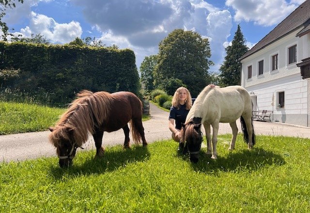 Ponys am Landhaus Aigner (1), © Landhaus Aigner