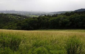 Ausblick vom Bisamberg, © LEADER-Region Weinviertel / Lahofer