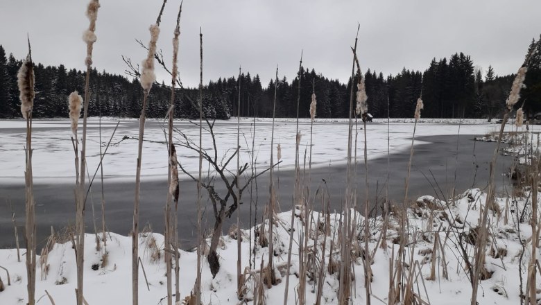 Der Himmelteich in Ottenschlag, © U.E.