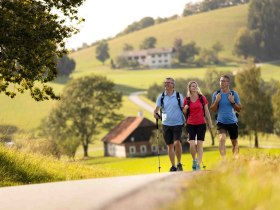 Wandern am Herz des Mostviertels Rundwanderweg, © schwarz-koenig.at