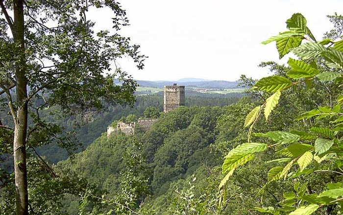 The Schauenstein Castle ruins from the east, © Leopold Hollensteiner