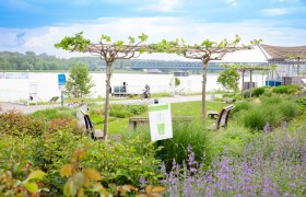 Radfahrer am Donauradweg in Tulln, © Donau Niederösterreich Tourismus GmbH