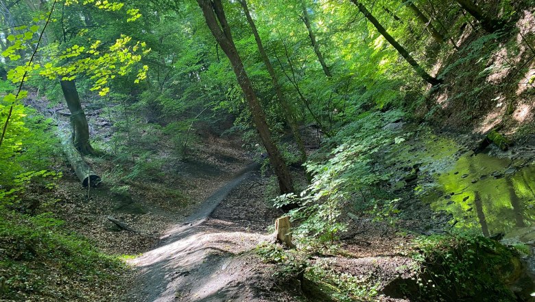 TDR-Hagenbachklamm, © Donau NÖ- K.Kancer