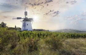 Retzer Windmühle, © Romana Fürnkranz