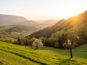 Gutenmann, © Wiener Alpen in Niederösterreich