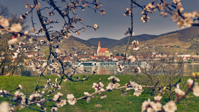 Weißenkirchen, Wachau, © Niederösterreich-Werbung/Andreas Hofer