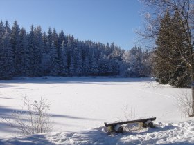 Hanslteich Gutenbrunn, © © Gernot Schwaiger