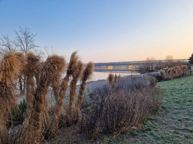 Donaubrücke, © Donau Niederösterreich - Kamptal-Wagram-Tullner Donauraum