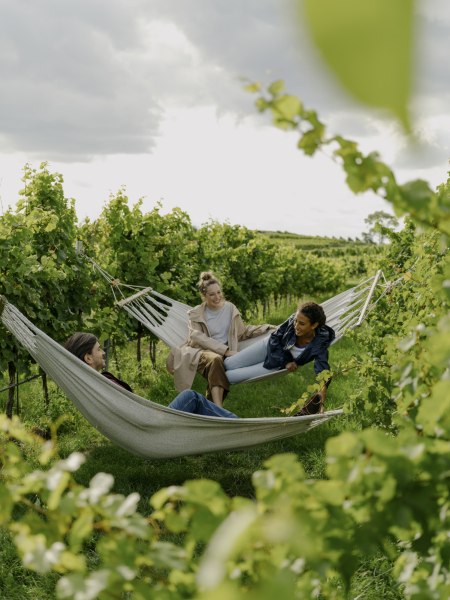 in the vineyard, © Julius Hirtzberger