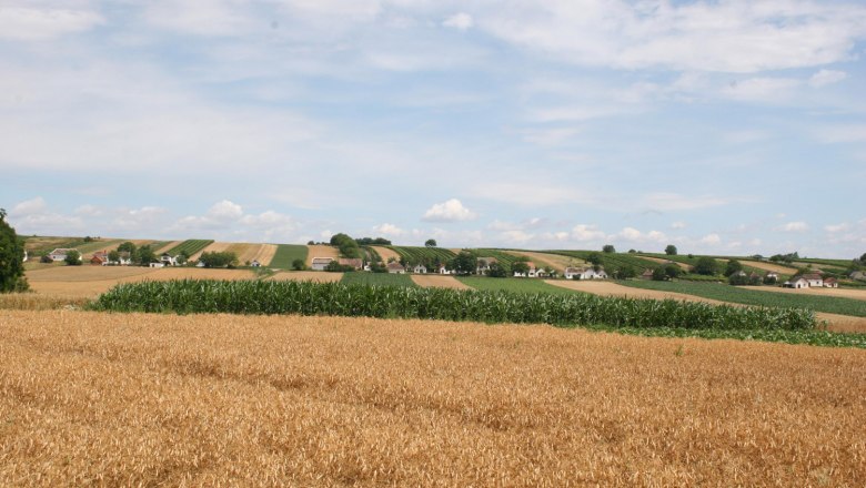 Kellergasse, © Gemeinde Großharras