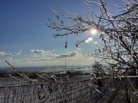 Winter über dem Wagram, © Donau Niederösterreich - Kamptal-Wagram-Tullner Donauraum