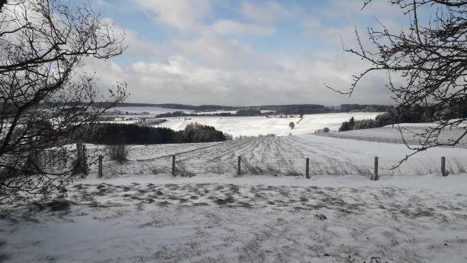 Auch der Winter ist schön: der Garten, © U.E.