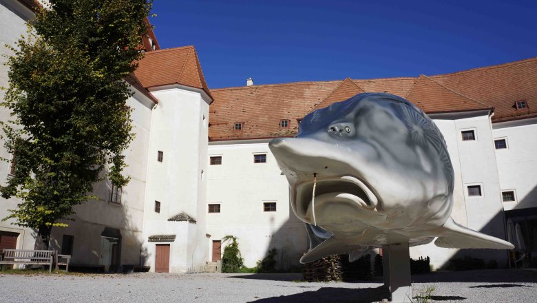 Große Fischskulptur vor historischem Gebäude mit roten Ziegeldächern., © Donau Niederösterreich, Steve Haider