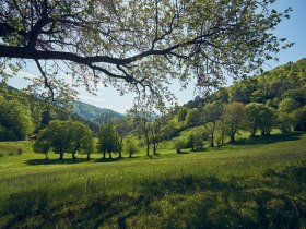 Mayerling, © Wienerwald Tourismus GmbH / Andreas Hofer