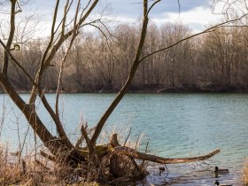 Naturseen Traismauer, © Donau Niederösterreich - Kamptal-Wagram-Tullner Donauraum