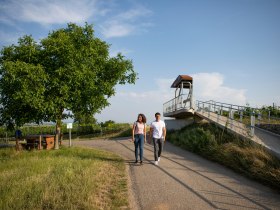 Aussichtsplattform Eisenhut, © TDR- Tourismusregion Wagram