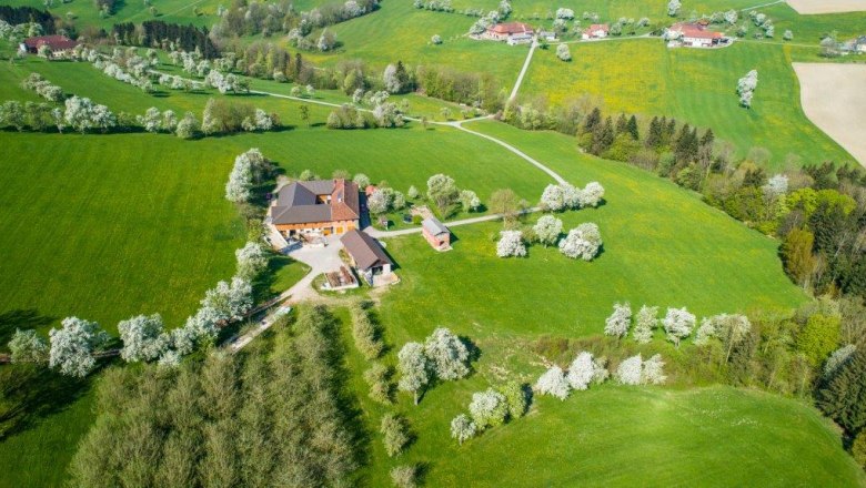 Moststraße von oben, © Cleanhill Studios