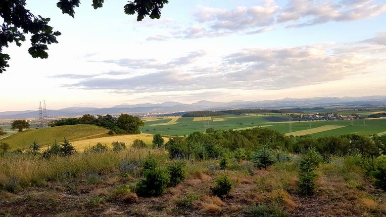 Aussicht von der Heimkehrerkapelle, © christbaumerlebniswald.at