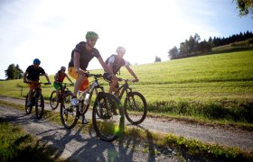 Mountainbiken in den Wiener Alpen, © ©Wiener Alpen, Foto: Thomas Bartl