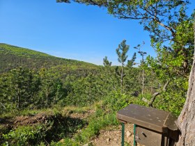 Wienerwald Ausblick, © Baden Tourismus