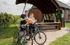 Kurzer Abstecher zum Erlebnisweingartl in Hohenruppersdorf, © Weinviertel Tourismus / Herbst